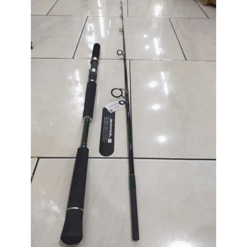 Joran Jigging MAGURO ANDROMEDA FG MAFG 170cm PE 2-5 ring fuji