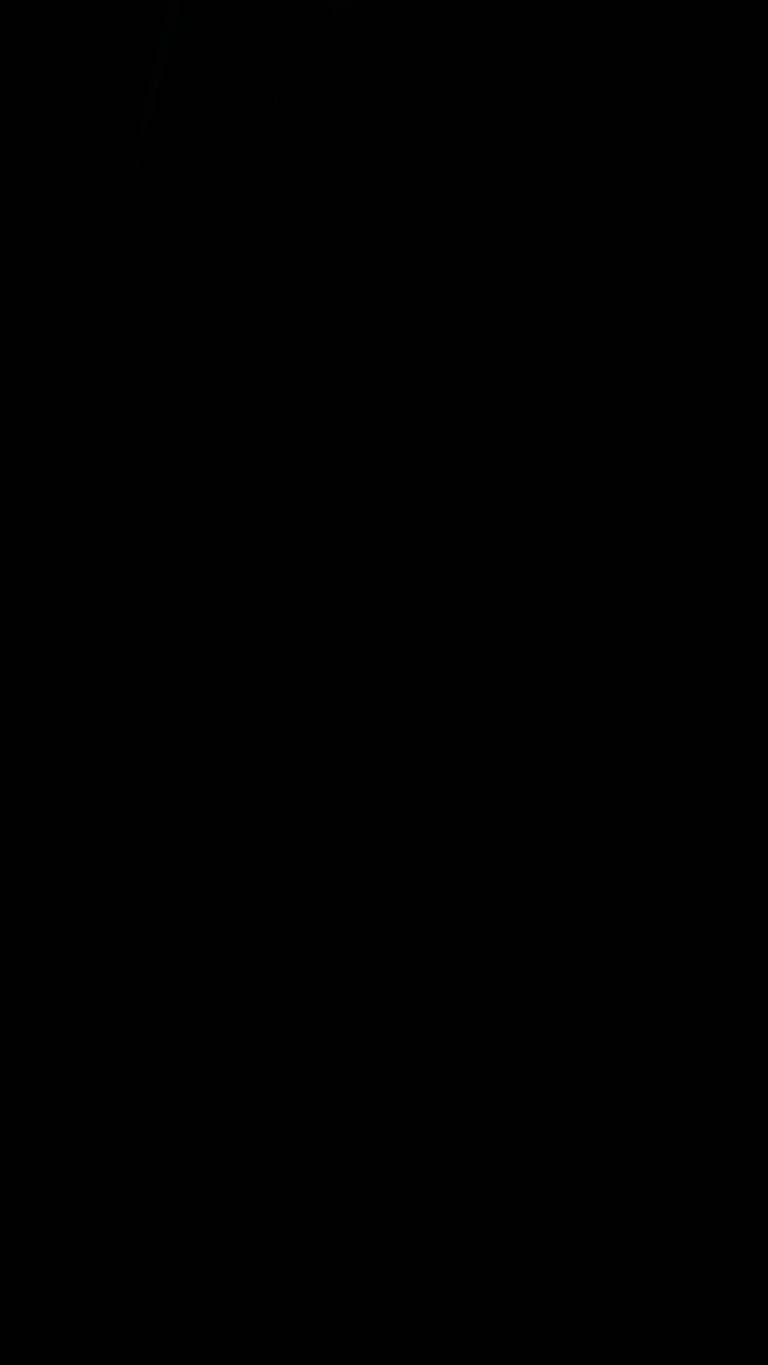 Sayur Asem Dan Lodeh 1 Kantong