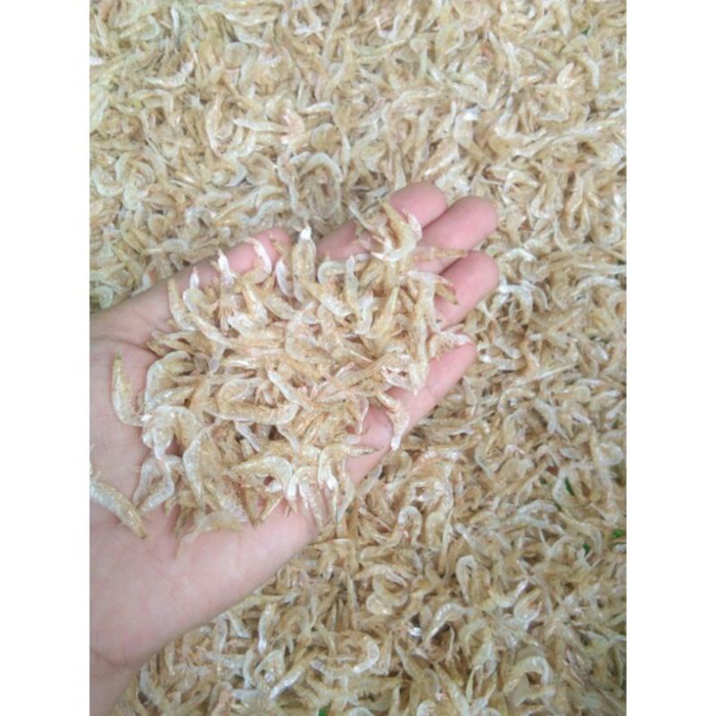 

rebon 1 kg/rebon kering 1 kg