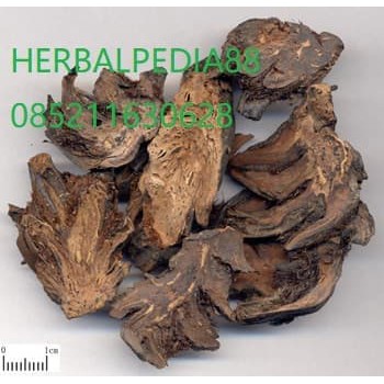 

guan zhong 贯众 Crytomii Rhizoma 100gram