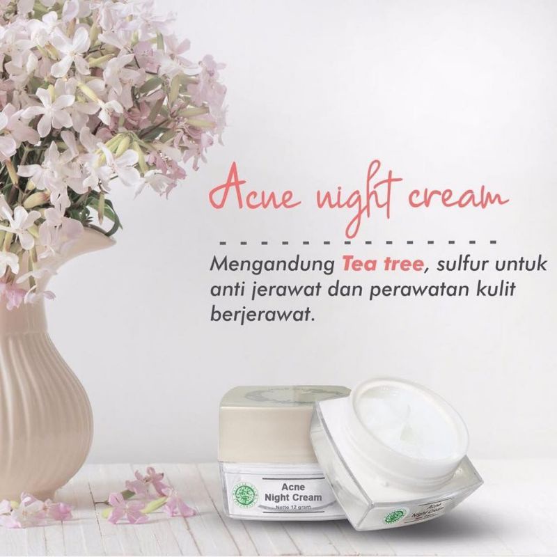 Acne night cream MS Glow 100% original skincare pelembabwajah wanita termurah(bisa cod)