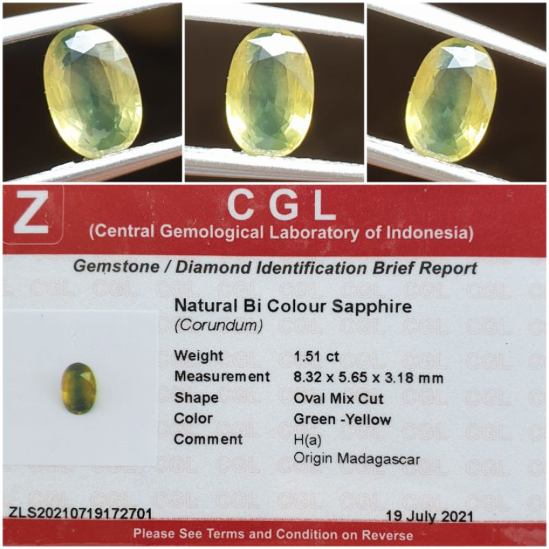 Natural Bi Color Sapphire Memo 1.51 crt