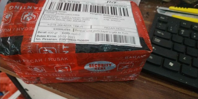 Cupang Black Samurai Jantan