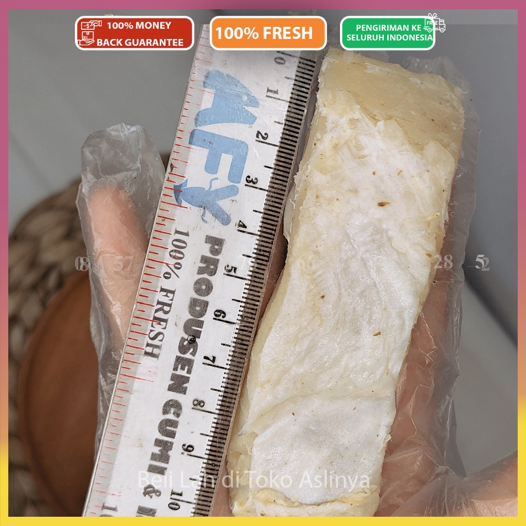 

Jambal Roti / 500Gr Ikan Asin Jambal Asli Pangandaran 100% Fresh