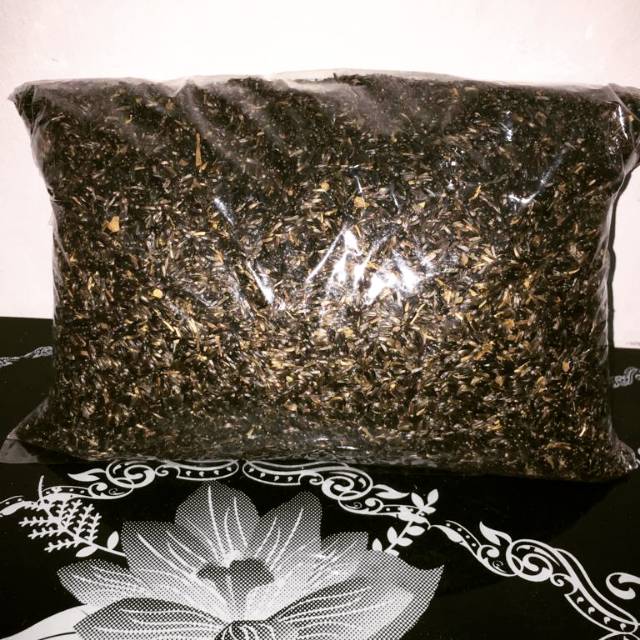 Biji niger seed 1 kg - pakan biji-bijian campuran untuk burung
