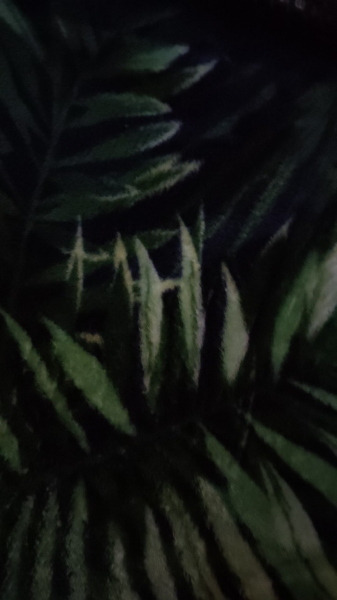 Sarung Batik Anak Remaja Ada 6 Motif | Sarung Anak | Sarung Ibadah