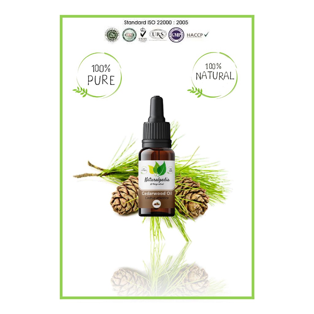 Pure Cedarwood Essential Oil / Minyak Esensial Atsiri Kayu Cedar Murni 10ml