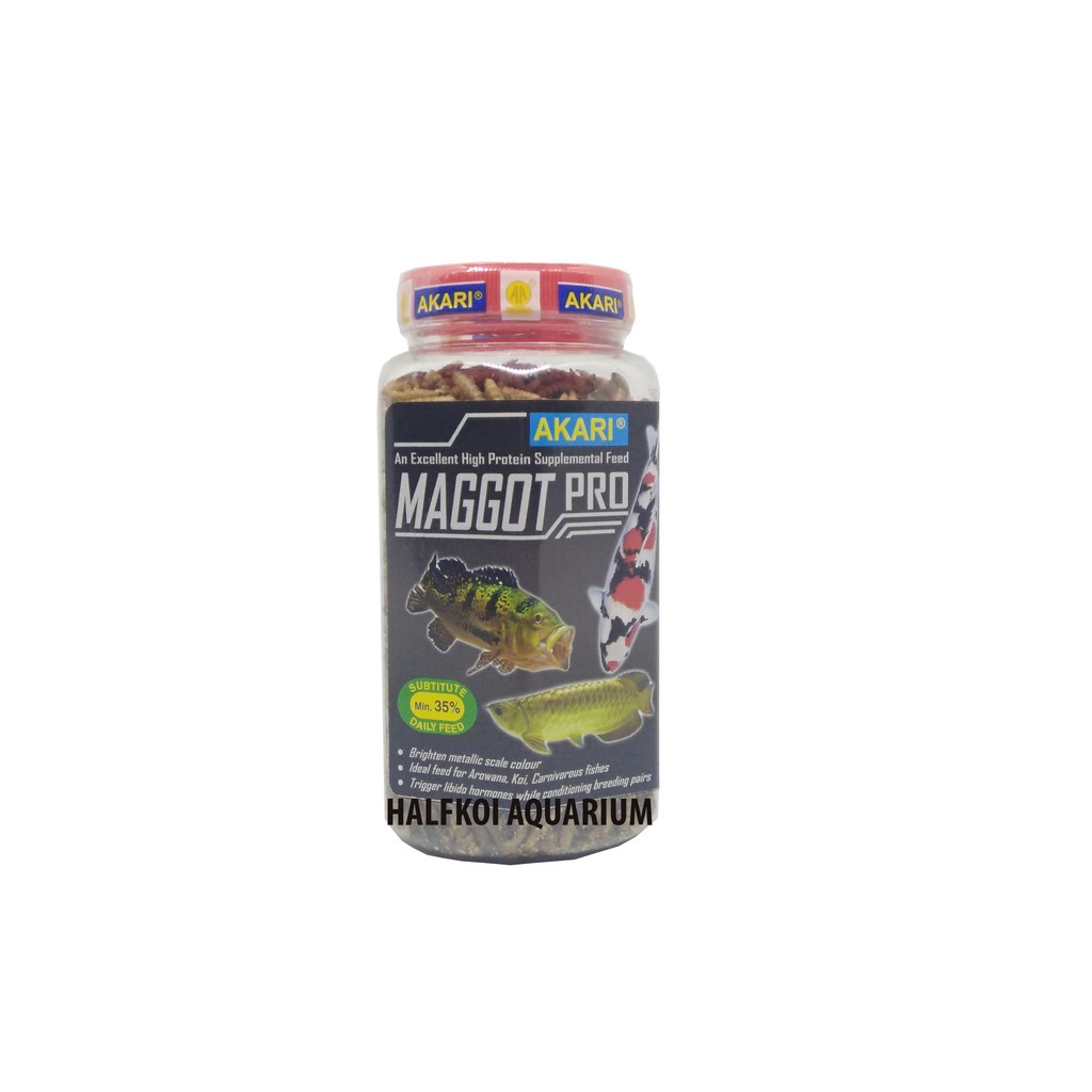 maggot akari premium isi 130 gram new