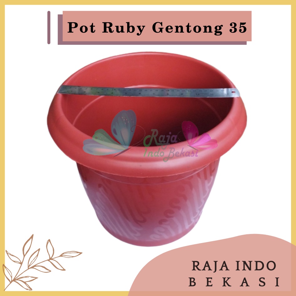 Pot Gentong VINCA 35 Coklat Merah Bata Terraccota Terakota Pot Tanaman Plastik Bunga Jumbo Besar Murah Grosir 40 cm Pot Tulip 45 20 30 Galaxy 25 40-Pot Bunga Putih 35 Strawberry | Pot Tanaman Plastik Besar