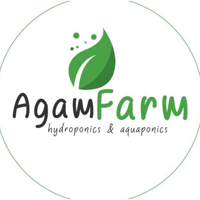 

UNIK JUAL BENIH -BIBIT - BIJI SAYUR HIDROPONIK PAKET ISI 6 JENIS SAYUR 2 SEPTEMBER