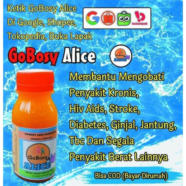 

gobosy alice