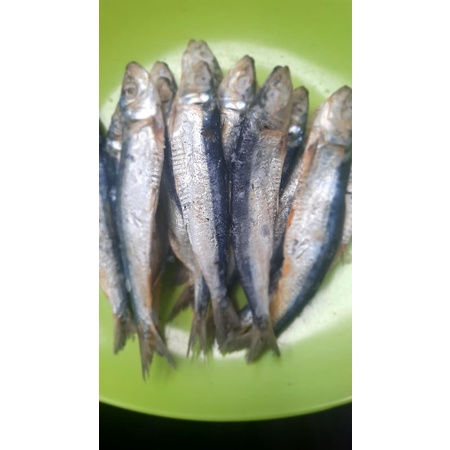 

Ikan Japuh Asin