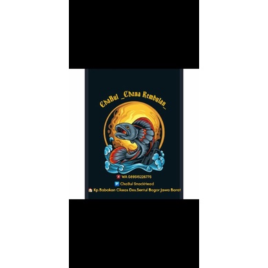 ikan channa stewarti auranti cb