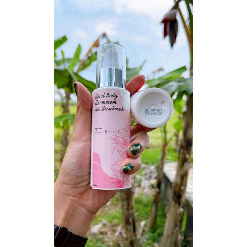 TERLARIS | PROMO HB BCC | HB KROMOSOM | HB BACCARAT | HB LANJUTAN