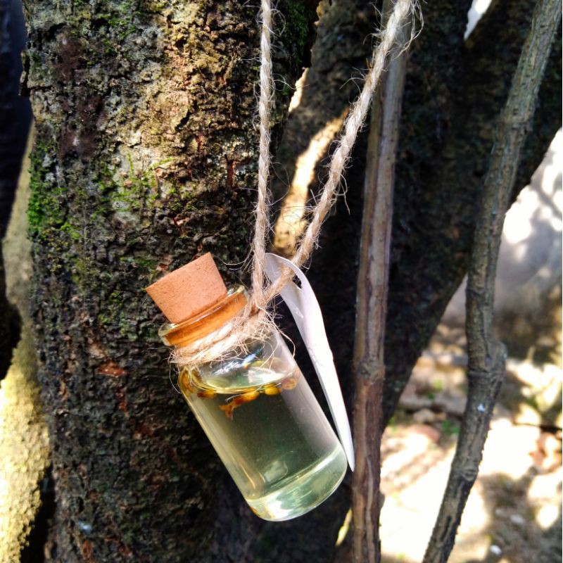 Parfum Gantung | Hanging Parfume | Parfum Mobil | Hanging Diffuser | Summer Punch by Scent of Season