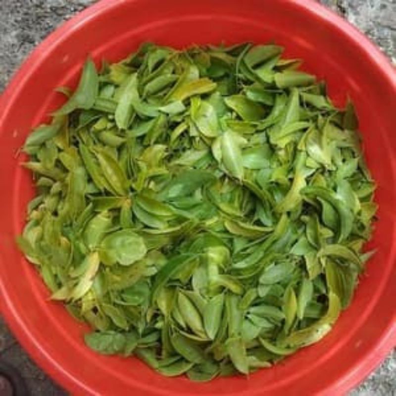 

Benalu buah tin segar fresh / kemade / Bendalu / mendalu / menalu