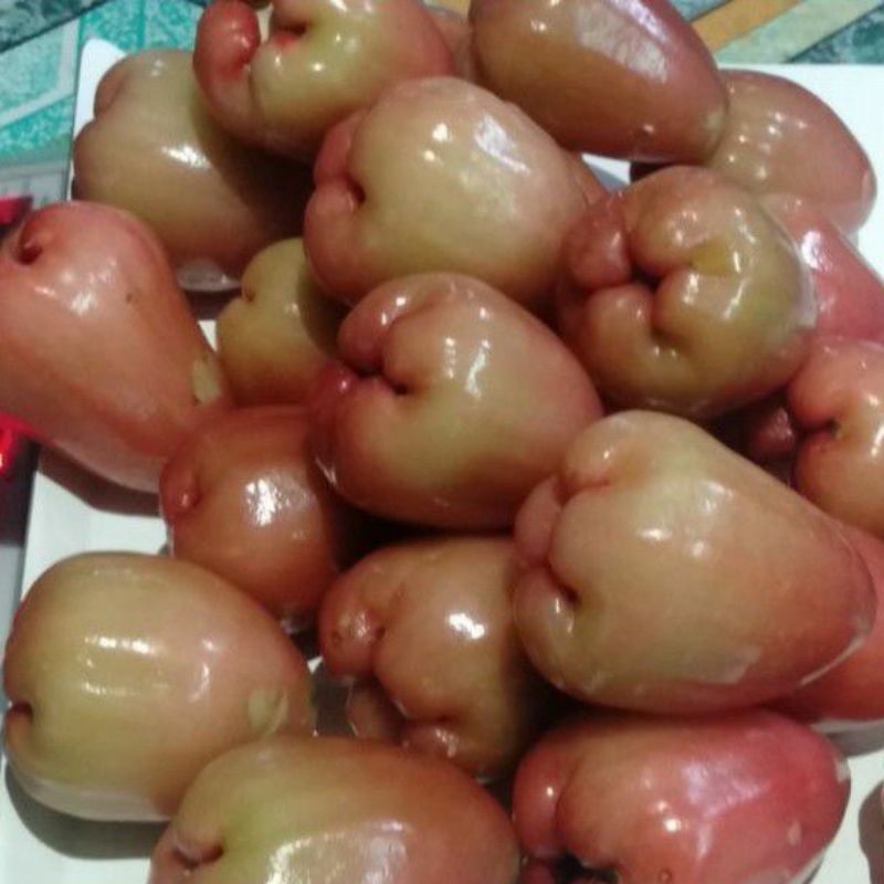 

Jambu Air Chincalo Merah 1kg