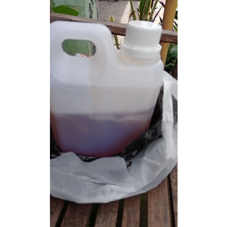 

MADU LEBAH ASLI / ORIGINAL 1 KG SATU KILOGRAM