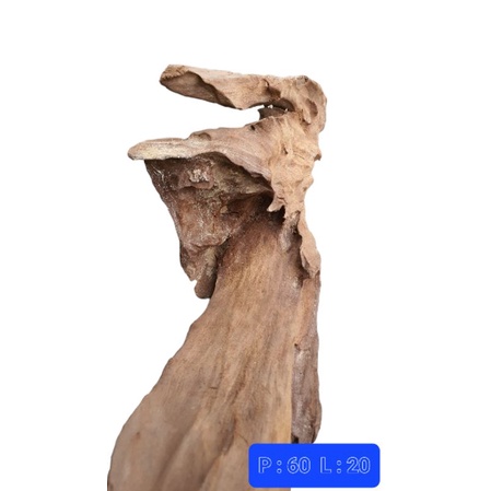 kayu aquascape hutan - tenggelam