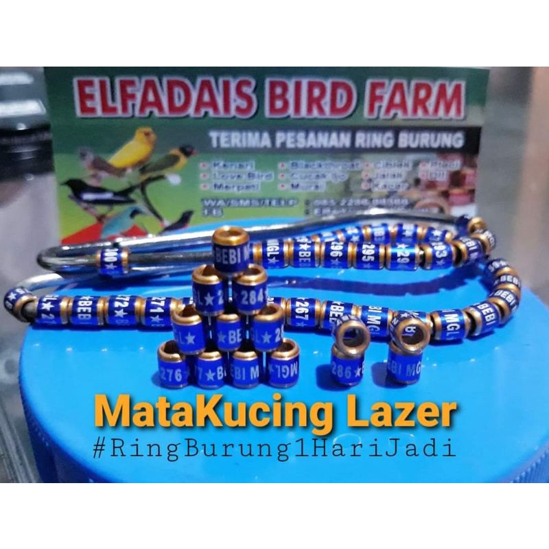 RingBurung 25Pcs MataKucing Lazer 1HariJadi