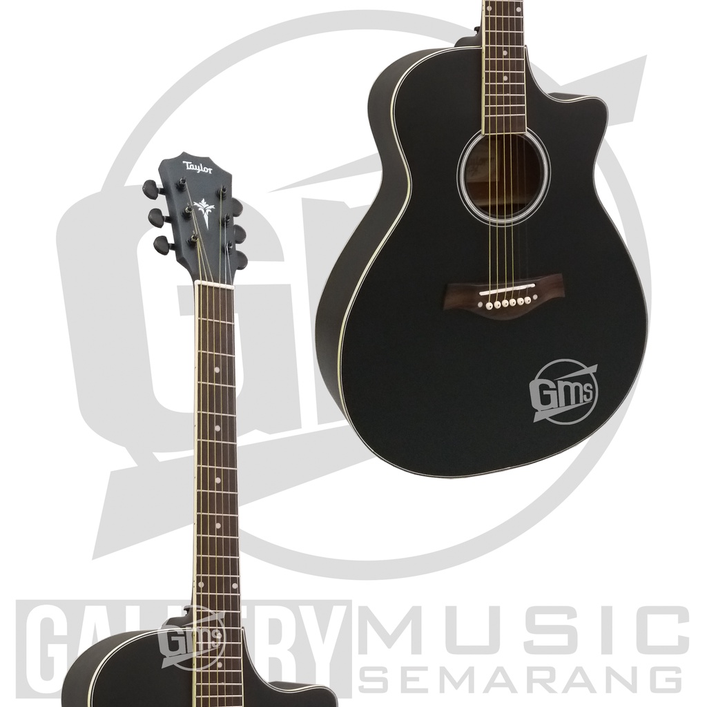 Gitar Akustik Taylor Custom Paket Super Komplit