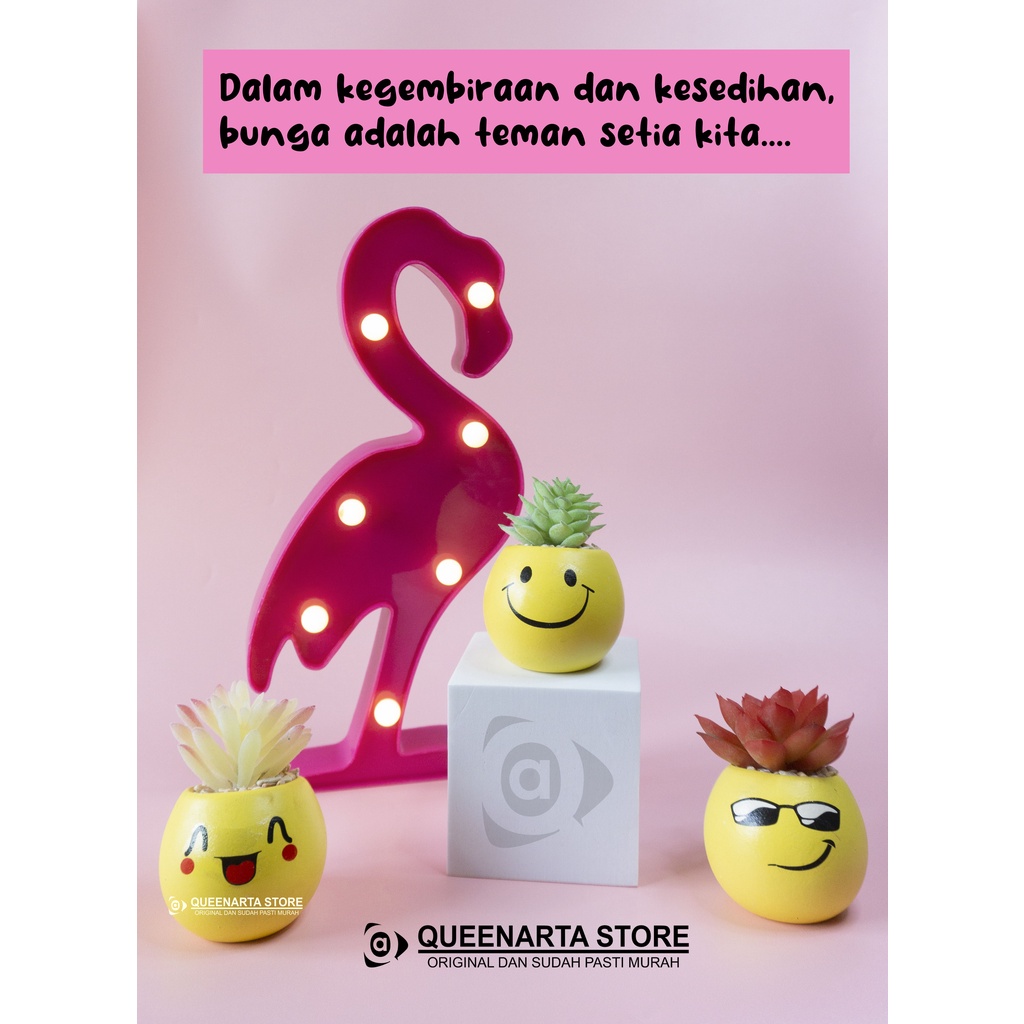 Queenarta Sukulen Mini Jenis Tanaman Kaktus dan Bunga Hias Plastik Pot Keramik Emotion Buat Dekorasi