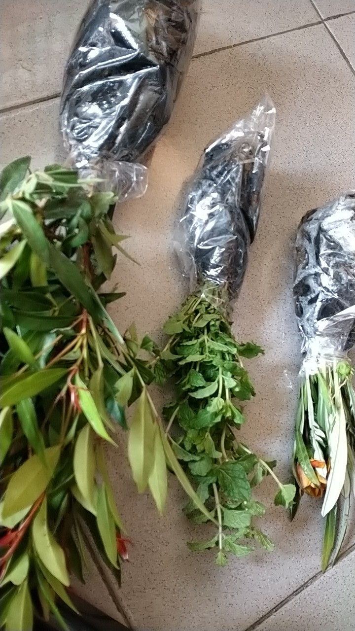 Daun Mint Spearmint Promo Beli 5 Gratis 1