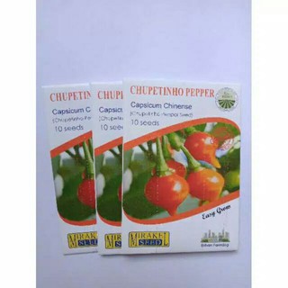 Peperoncino Piccante VERY HOT Chupetiñho - Vivaio Pironti | Piante & Fiori - Foto 8