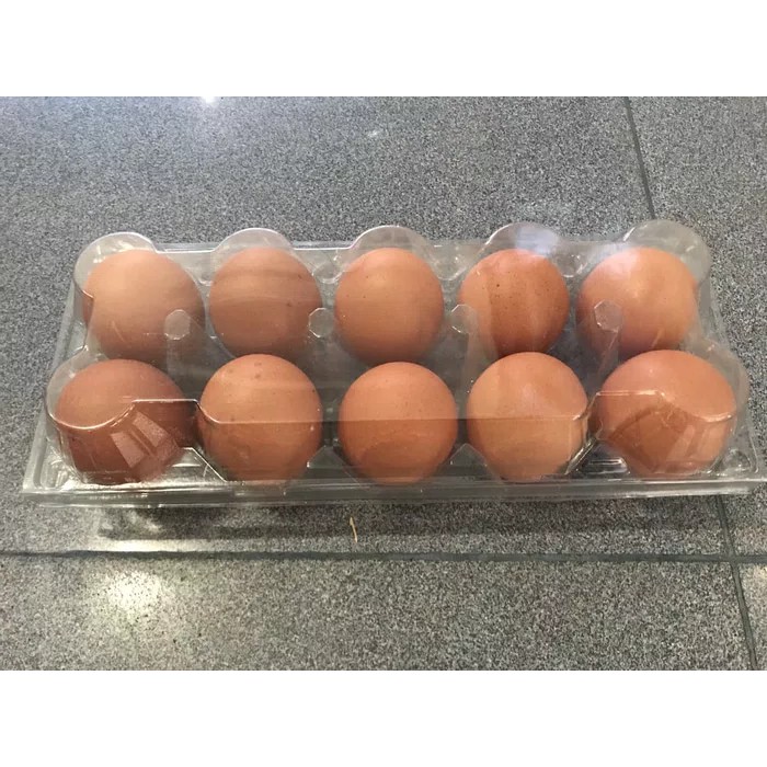 

TELUR AYAM NEGERI ISI 10