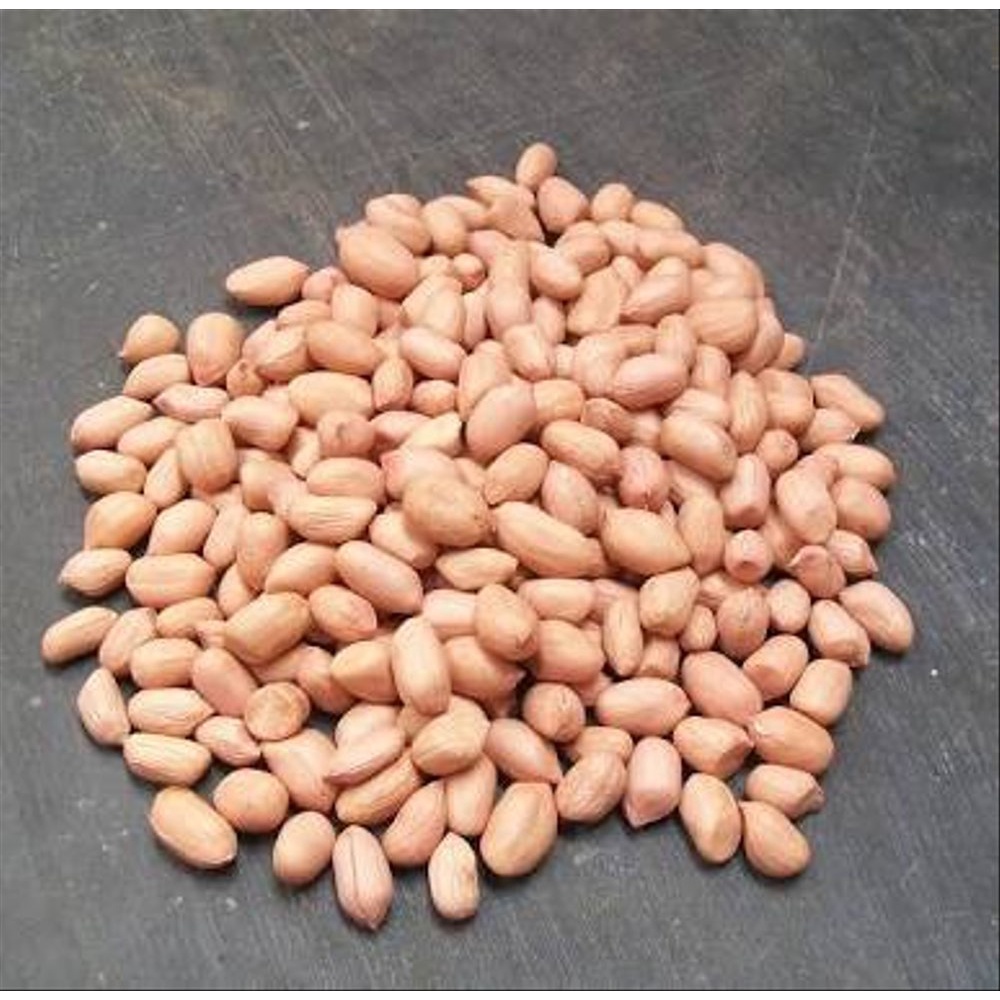 Kacang Tanah Mentah Kulit Ari / Raw Ground Peanut (100 gram) by Granology