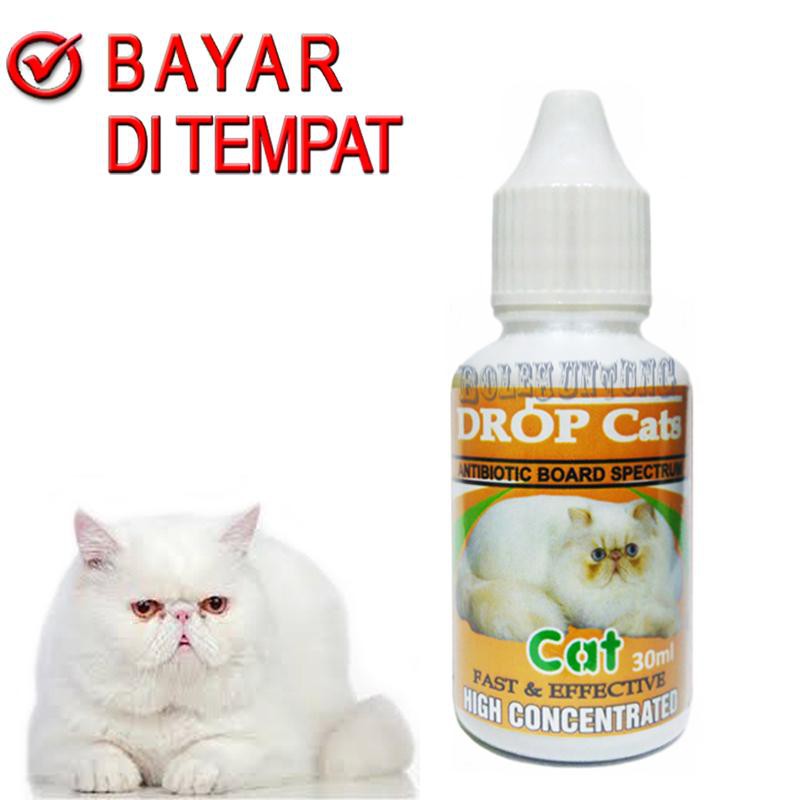 OBAT ANTIBIOTIK KUCING DROP CAT KITTEN OBAT FLU DEMAM PANAS