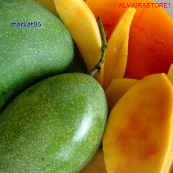 

Buah Segar Mangga Manalagi 1 KG - WFB .