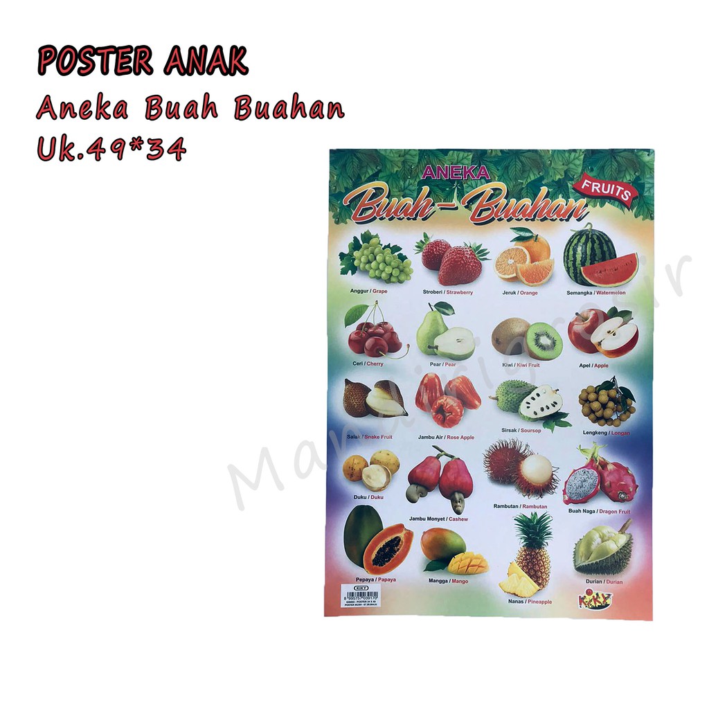 Kiky * Poster * belajar * anak * aneka * gambar * 34*49