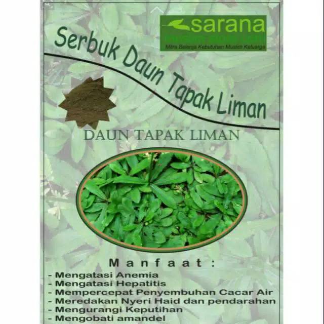 

Serbuk Bubuk Daun Tapak Liman Kemasan 1000gr Asli Banyak Manfaat !