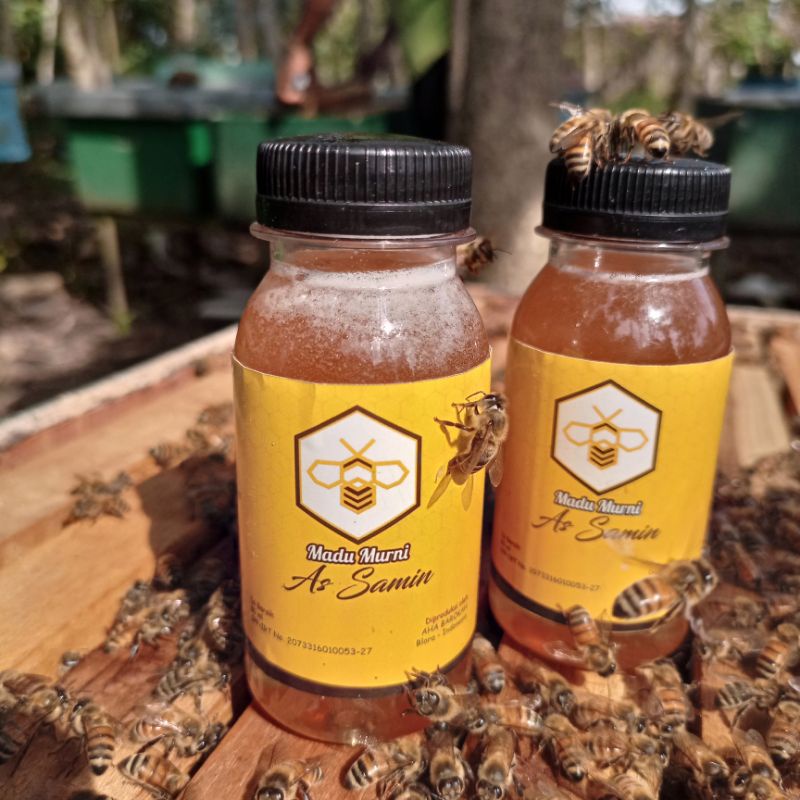 

(TOP BRAND) MADU MURNI / MADU ASLI / MADU MULTIFLOURA / MADU HUTAN/ MADU LIAR/ MADU KUALITAS SUPER KEMASAN 500ml