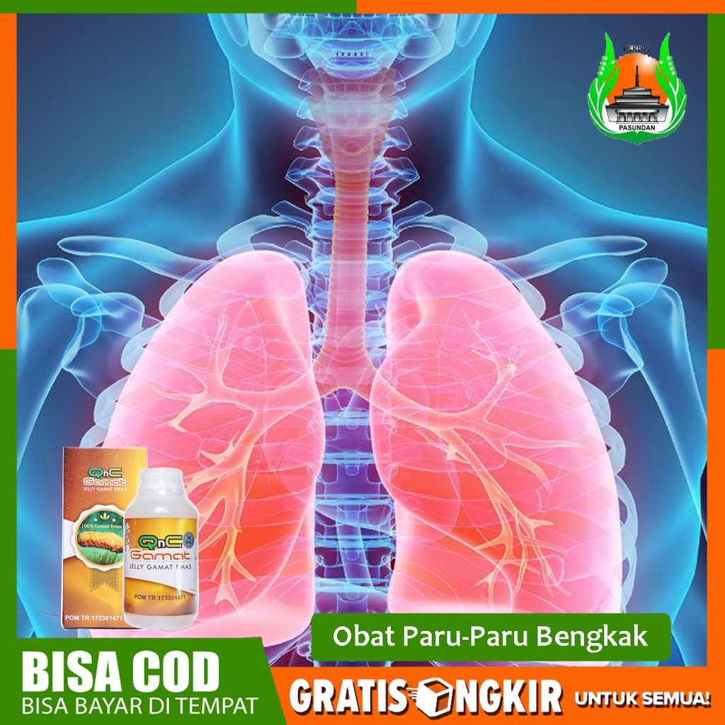 Obat Paru Paru Bengkak Radang Paru Paru Infeksi Paru Paru Herbal Qnc Jelly Gamat Asli Bisa Cod Shopee Indonesia