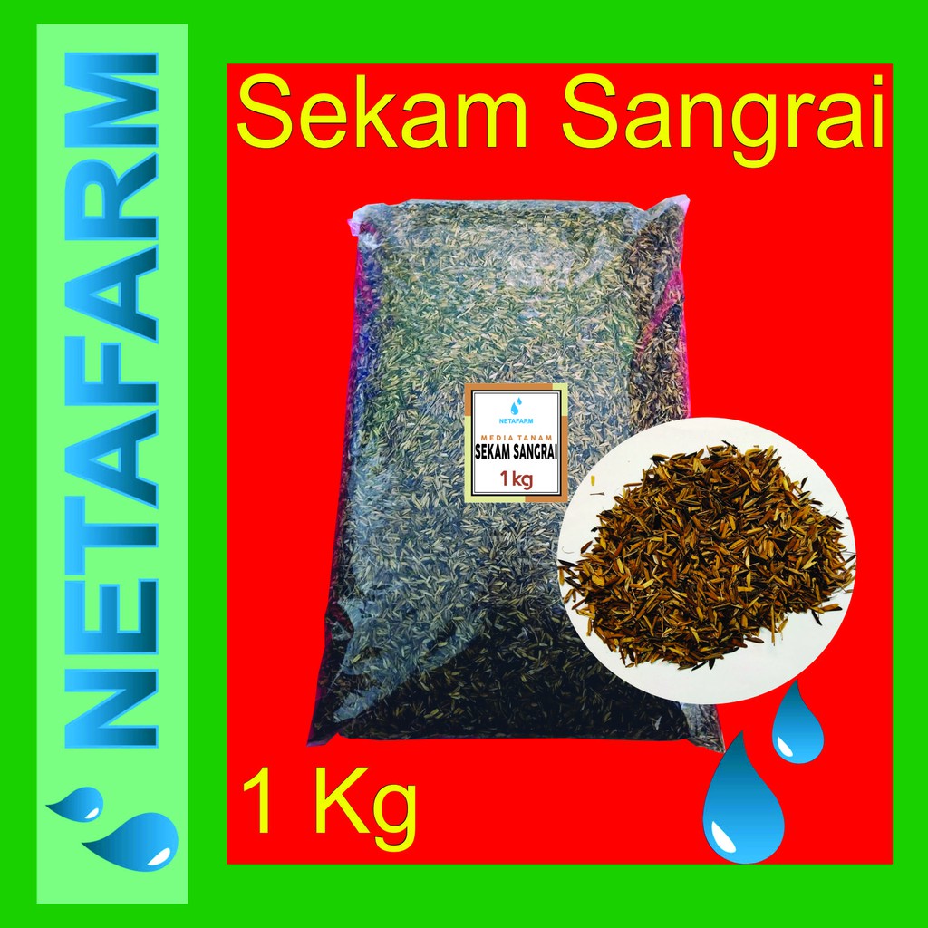 Media Tanam - Sekam Sangrai kemasan 1kg