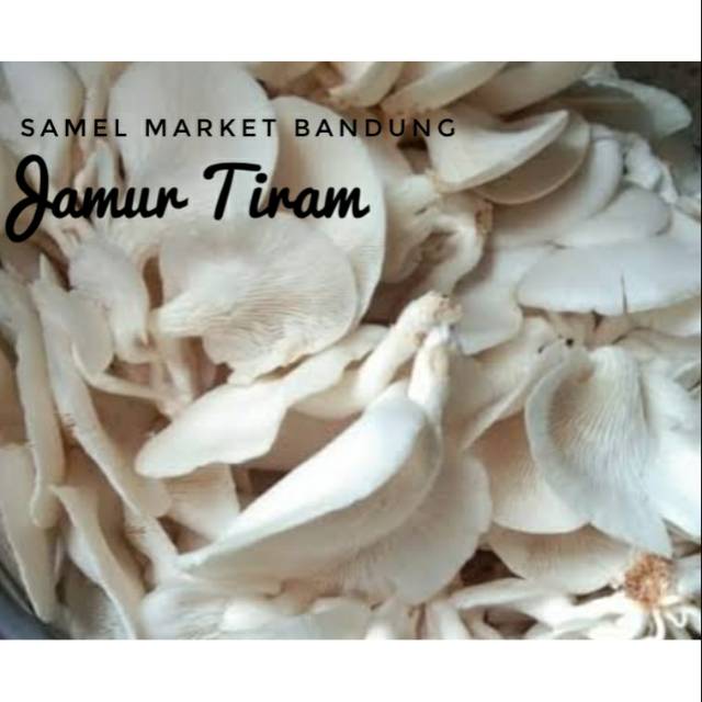 

Jamur Tiram Segar, 500 gr