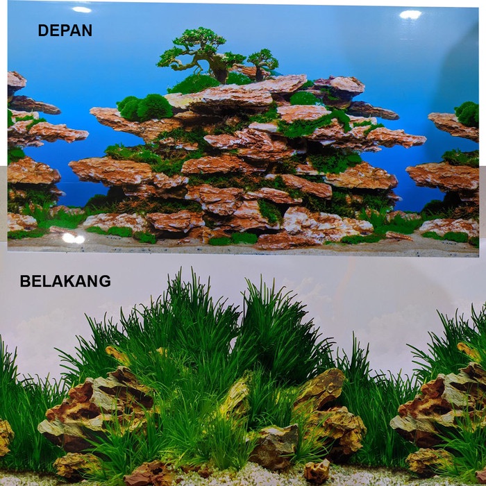 Background Aquarium 30Cm / Gambar Belakang Aquarium Tinggi 30Cm