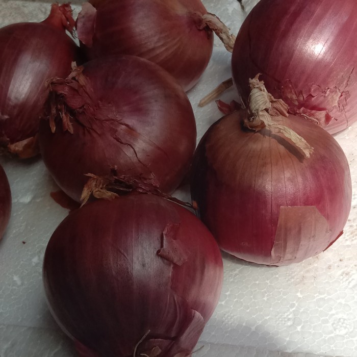 

Siap Kirim Bawang Bombay Merah Nz/Unggu - Ungu, 1 Kg