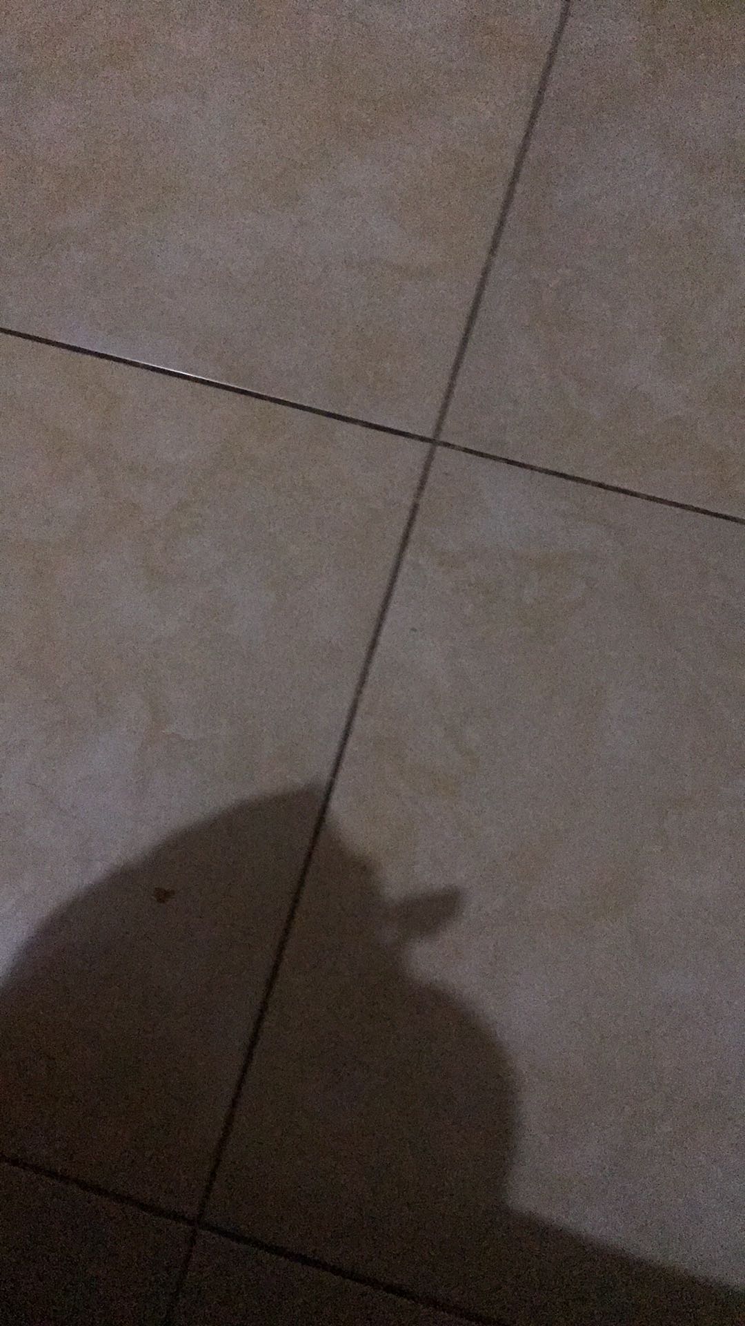 Promo Followers Ig Followers 500-4000  Ig Followers Instagram Real Indo