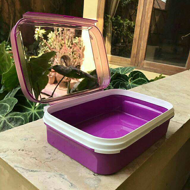 Signature rectangular #1 2l