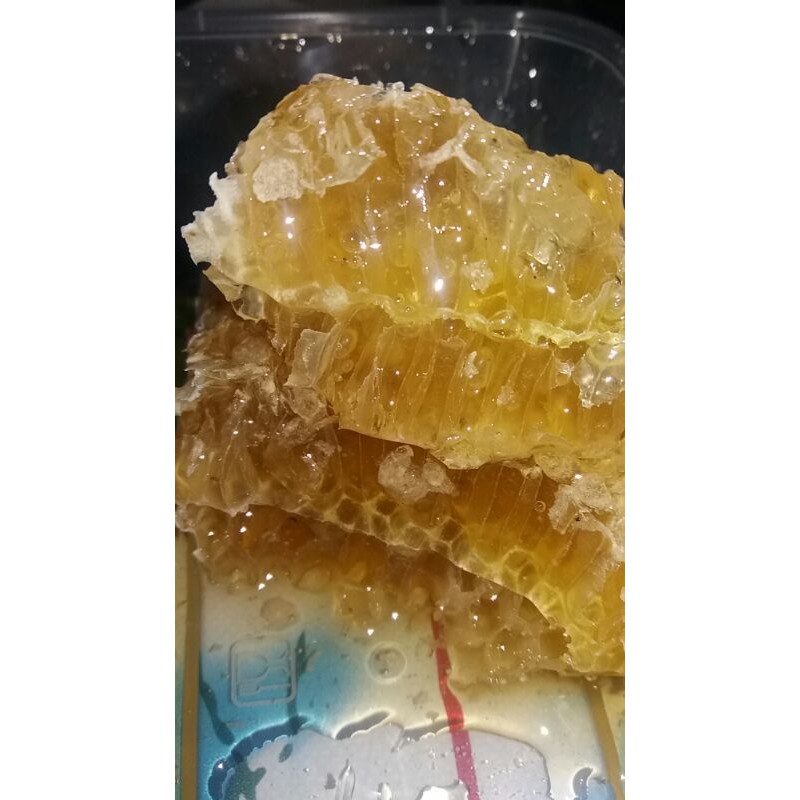 

Madu Sarang Apis Mellifera Asli