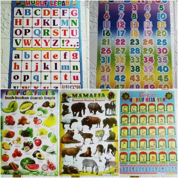 5 pcs poster edukasi anak/poster huruf angka Hijaiyah buah-buahan dan hewan