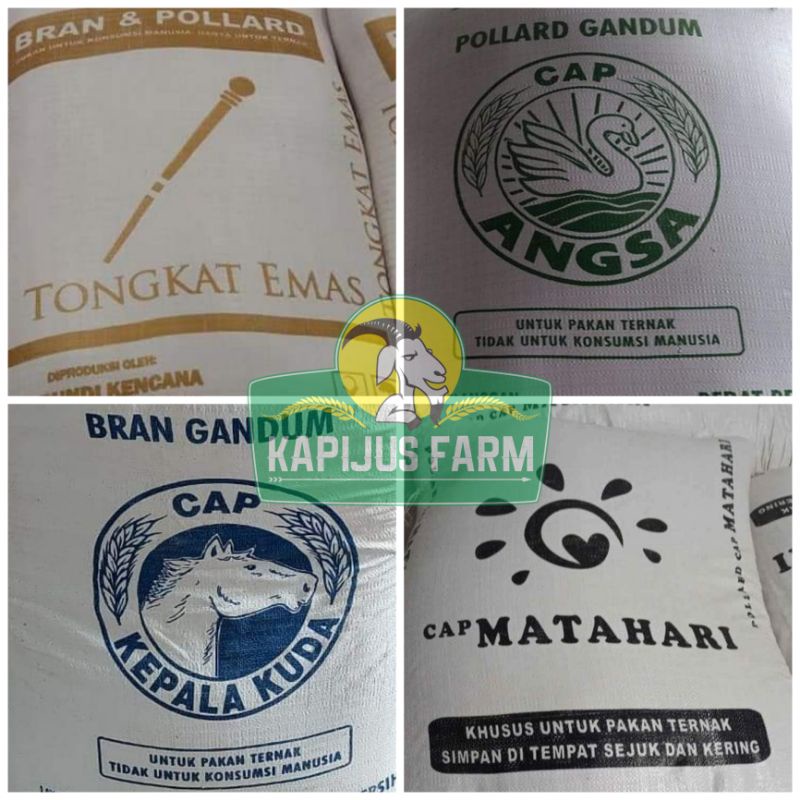 Polar Gandum Berkualitas / Polar Angsa / Polar Matahari / Polar Tongkat Emas / Bran Gandum Kepala Ku