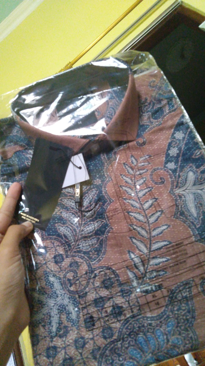 Carlos Moreno Kemeja Batik Pria - Pandya