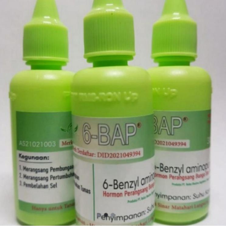 ☟ Hormon Tanaman 6 BAP Benzylaminopurine Perangsang Bunga Anggrek, dan Penumbuh Tunas ֍