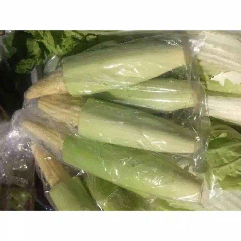 

jagungkecil
