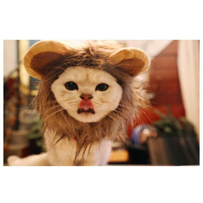 Catty | Kostum Singa Untuk Kucing / Cat Costume Lion Hair - M Kekinian Terlaris