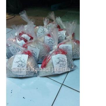 ➭ jala lempar kecrik 1,3 meter 4 feet untuk ikan udang kecil ℗